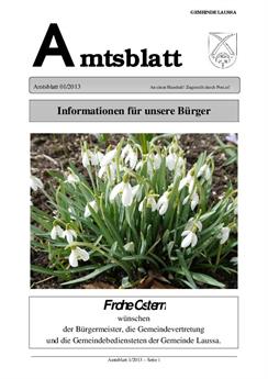 Amtsblatt 01-2013.jpg