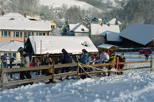Ortsmeisterschaft Skilauf und Snowboard 2003-1